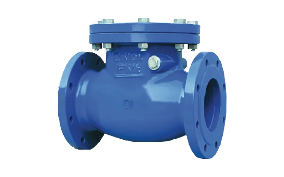 BV223 Swing Check Valve